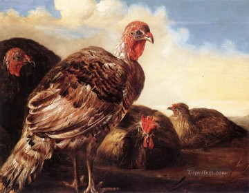  painter Painting - Domestic Fowl countryside painter Aelbert Cuyp
